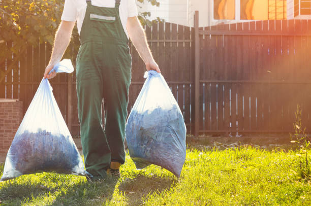 Yard Cleanup Services in Medford, MN